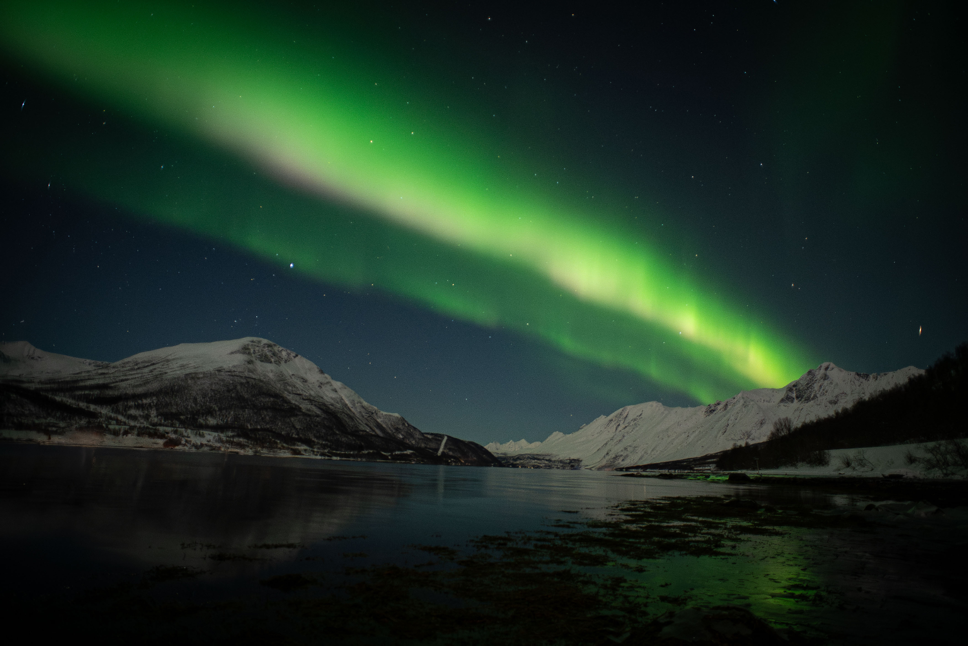 Aurora borealis over an Arctic fjord